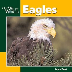 Eagles by Laura Evert