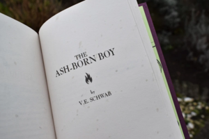 The Ash-Born Boy by Victoria Schwab