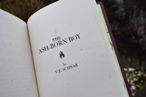 The Ash-Born Boy by V.E. Schwab