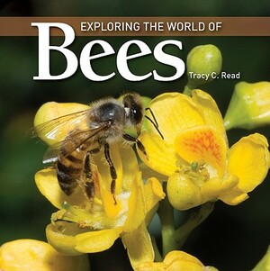 Exploring the World of Bees by Tracy Read