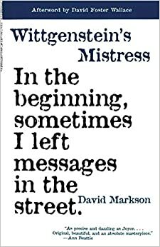 Wittgenstein'ın Metresi by David Markson