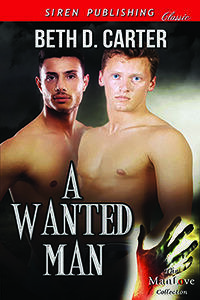 A Wanted Man by Beth D. Carter