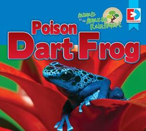 Animals of the Amazon Rainforest: Poison Dart Frog by Katie Gillespie