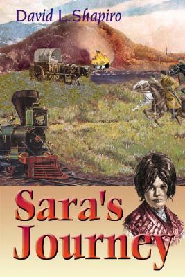 Sara's Journey by David L. Shapiro