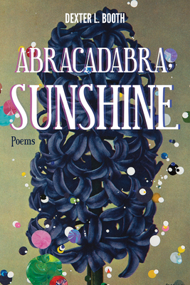 Abracadabra, Sunshine by Dexter L. Booth