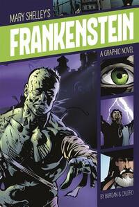 Mary Shelley's Frankenstein by Michael Burgan