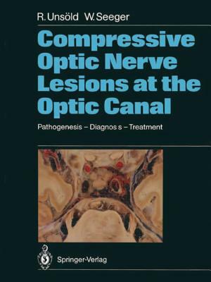 Compressive Optic Nerve Lesions at the Optic Canal: Pathogenesis - Diagnosis - Treatment by Wolfgang Seeger, Renate Unsöld