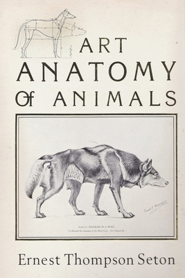 Art Anatomy of Animals by Ernest Thompson Seton