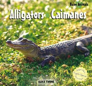 Alligators/Caimanes by Alice Twine