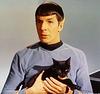 ruwe_reads's profile picture