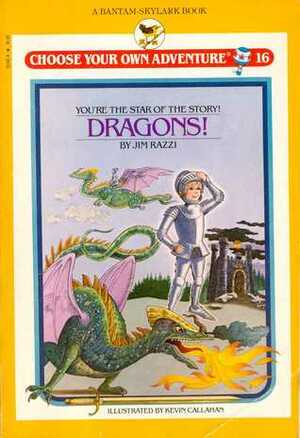 Dragons! by Jim Razzi, Kevin Callahan