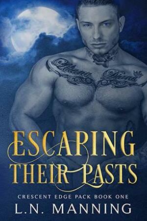 Escaping Their Pasts by L.N. Manning