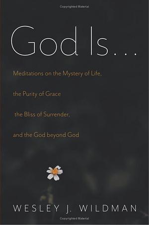 God Is… Meditations on the Mystery of Life, the Purity of Grace, the Bliss of Surrender, and the God Beyond God by Wesley J. Wildman