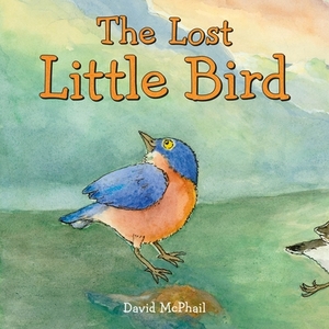 The Lost Little Bird by David M. McPhail