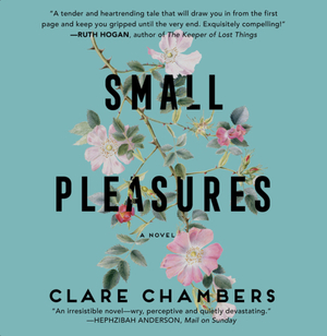 Small Pleasures by Clare Chambers