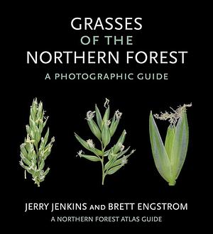 Grasses of the Northern Forest: A Photographic Guide by Jerry Jenkins, Brett Engstrom