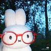rabebi's profile picture