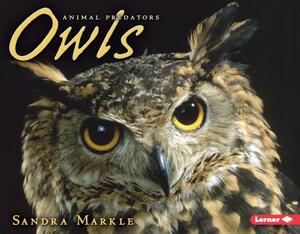 Owls by Sandra Markle