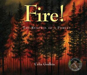 Fire!: The Renewal of a Forest by Celia Godkin