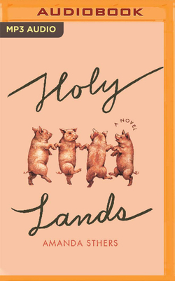 Holy Lands by Amanda Sthers