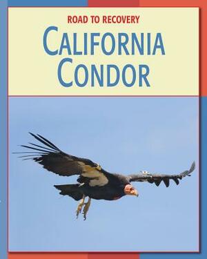 California Condor by Susan H. Gray