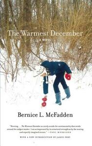 The Warmest December by Bernice L. McFadden