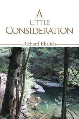 A Little Consideration by Richard Ehrlich