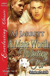 A Mate Worth Waiting For by A.J. Jarrett