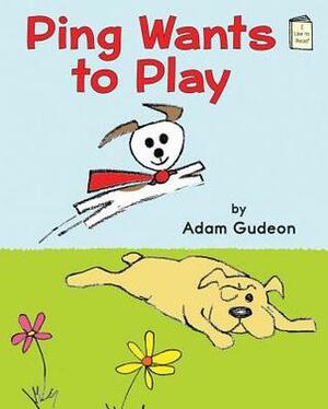 Ping Wants to Play by Adam Gudeon