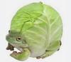 nniom's profile picture