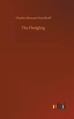The Fledgling by Charles Bernard Nordhoff