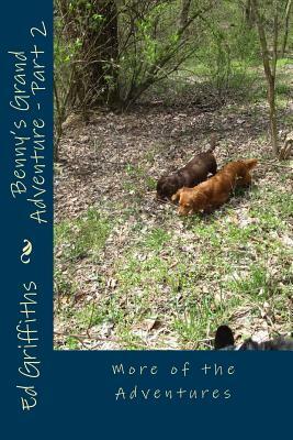 Benny's Grand Adventure - Part 2: More of the Adventures by Ed Griffiths