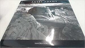 Ansel Adams in The National Archives by Sandra Forty