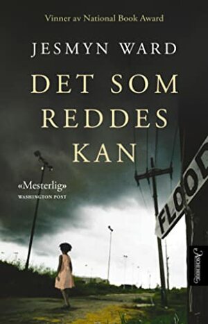 Det som reddes kan by Jesmyn Ward