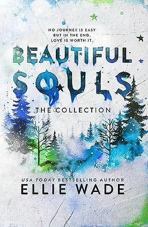 The Beautiful Souls Collection: Boxset of books 3-6 by Ellie Wade