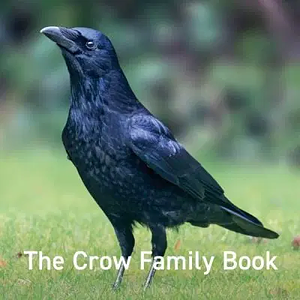 The Crow Family Book by Jane Russ