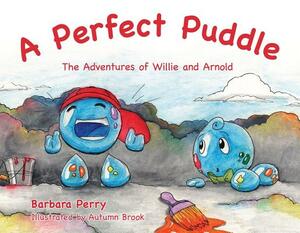 A Perfect Puddle by Barbara Perry