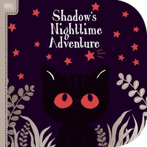 Bright Books: Shadow's Nighttime Adventure by Megan Roth, Emiri Hayashi