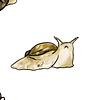anelaming's profile picture