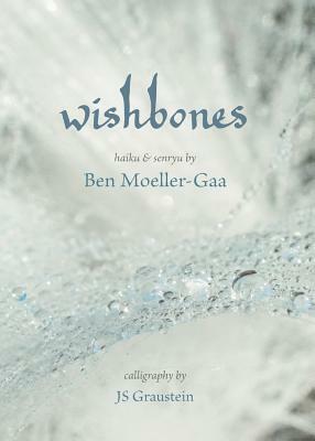 Wishbones by Ben Moeller-Gaa