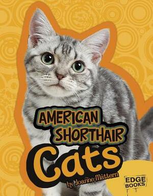 American Shorthair Cats by Joanne Mattern