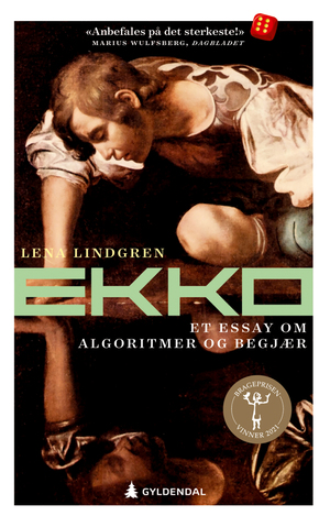 Ekko: Et essay om algoritmer og begjær by Lena Lindgren