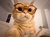 ashdko's profile picture