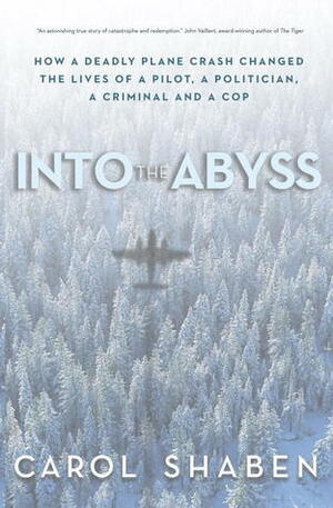 Into the Abyss: How a Deadly Plane Crash Changed the Lives of a Pilot, a Politician, a Criminal and a Cop by Carol Shaben