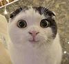 cataandrc's profile picture