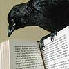 thekatiebird's profile picture