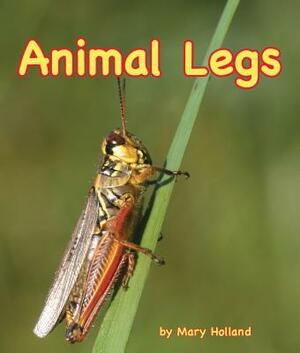 Animal Legs by Mary Holland