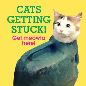 Cats Getting Stuck! by Ebury Press