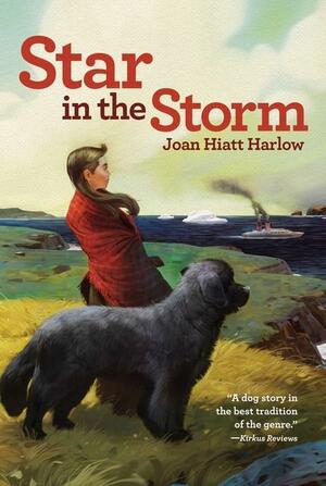 Star in the Storm by Joan Hiatt Harlow