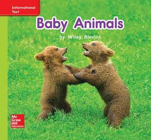 World of Wonders Patterned Book # 7 Baby Animals by 